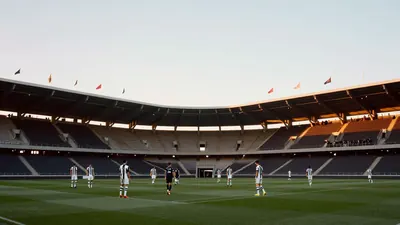 Neuer Vizepräsident: Ex-Ajax-Funktionär stärkt Lask